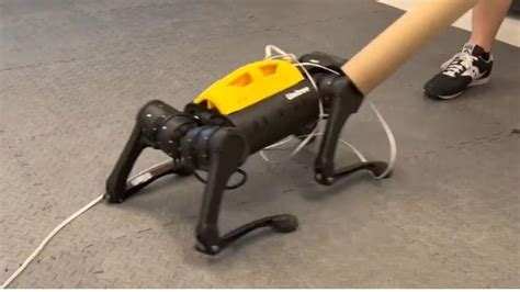 robot dog|This robot dog just taught itself to walk .